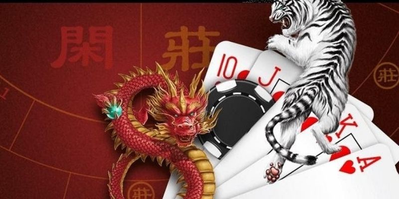 Kinh Nghiệm Chơi Rồng Hổ Giúp Tăng Cơ Hội Thắng Hiệu Quả