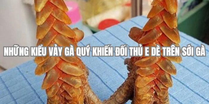 Những Kiểu Vảy Gà Quý Khiến Đối Thủ E Dè Trên Sới Gà